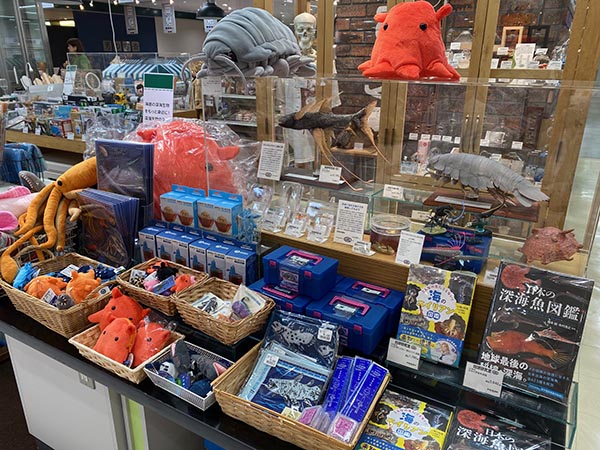 深海生物のある暮らし展
