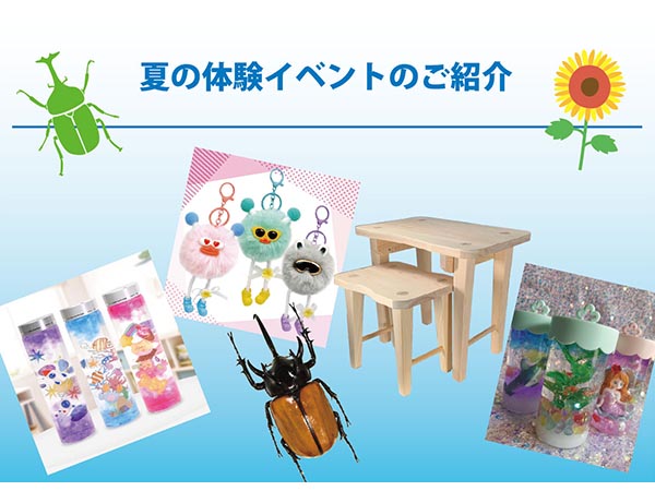夏の体験イベントのご紹介