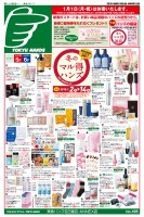 page 1 thumbnail