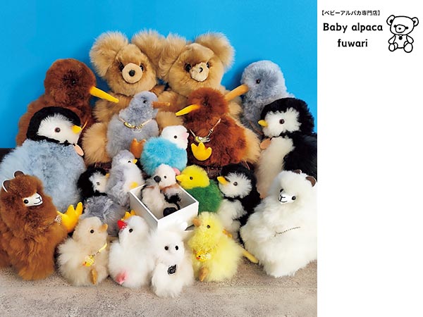 【予告】ベビーアルパカ専門店 Baby alpaca fuwari  POP UP