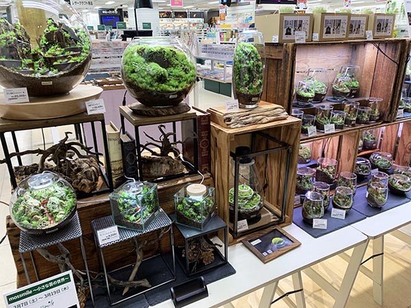 mossmile～小さな苔の世界～