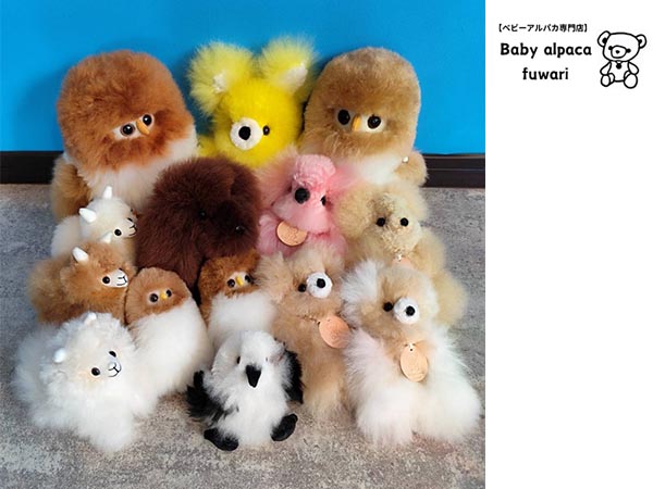 Baby alpaca fuwari(ベビーアルパカフワリ)