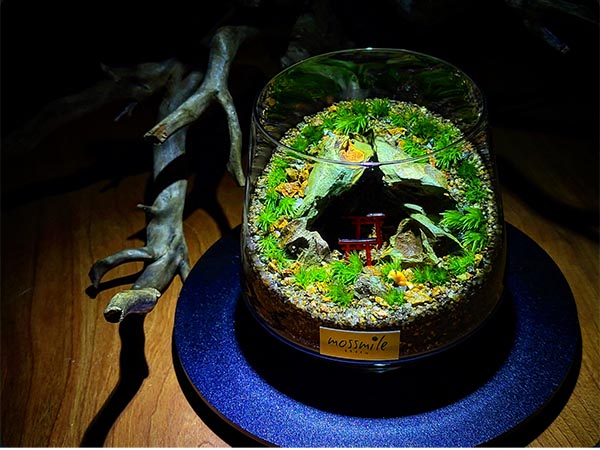 mossmile～苔むす洞窟編～ 苔テラリウムワークショップ【7F】